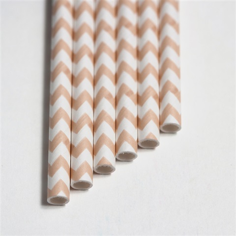 Bulk Paper Straws