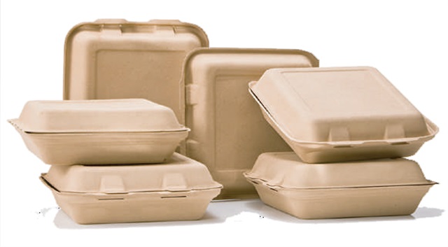 Biodegradable Plastic Container Food Packaging Containers Manufacturer