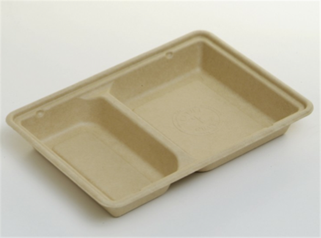 Compostable Takeout Containers